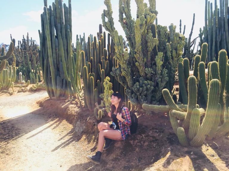 歡迎光臨巨大仙人掌公園-Cactus Country