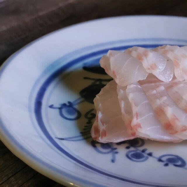 多麼幸運可以吃到朋友昨天自己釣的魚，新鮮現切現吃生魚片🐟

澎湖的海鮮真的是太多太好吃了，來三天兩夜還有太多想吃的店沒吃到～～～

#凱西女孩去旅行#caseygotravel
#澎湖美食